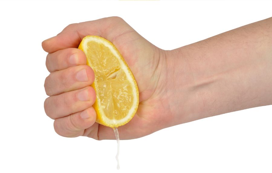 propiedades limon