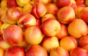 propiedades nectarina