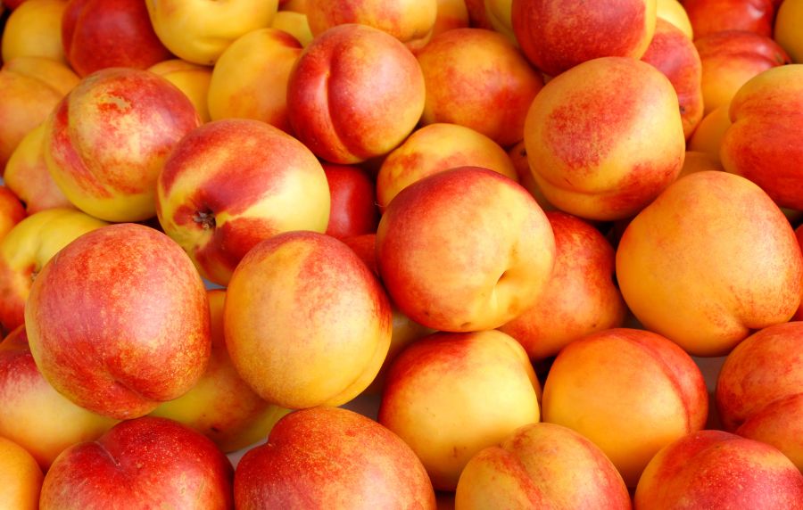 propiedades nectarina