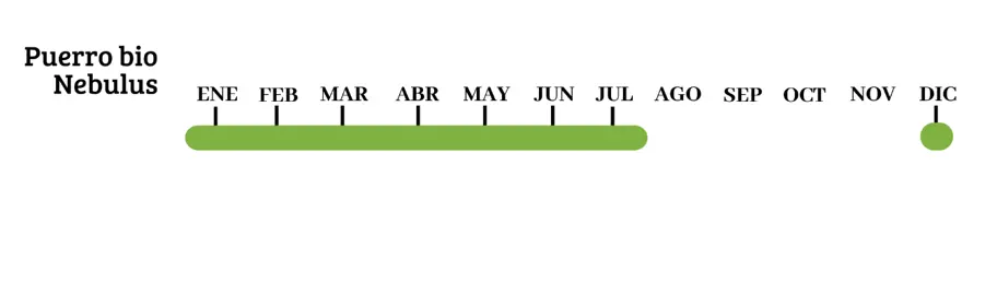 puerro bio calendario