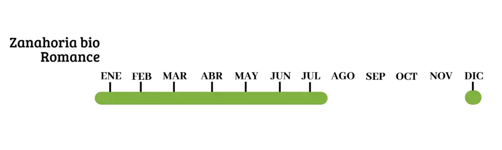 zanahoria bio calendario